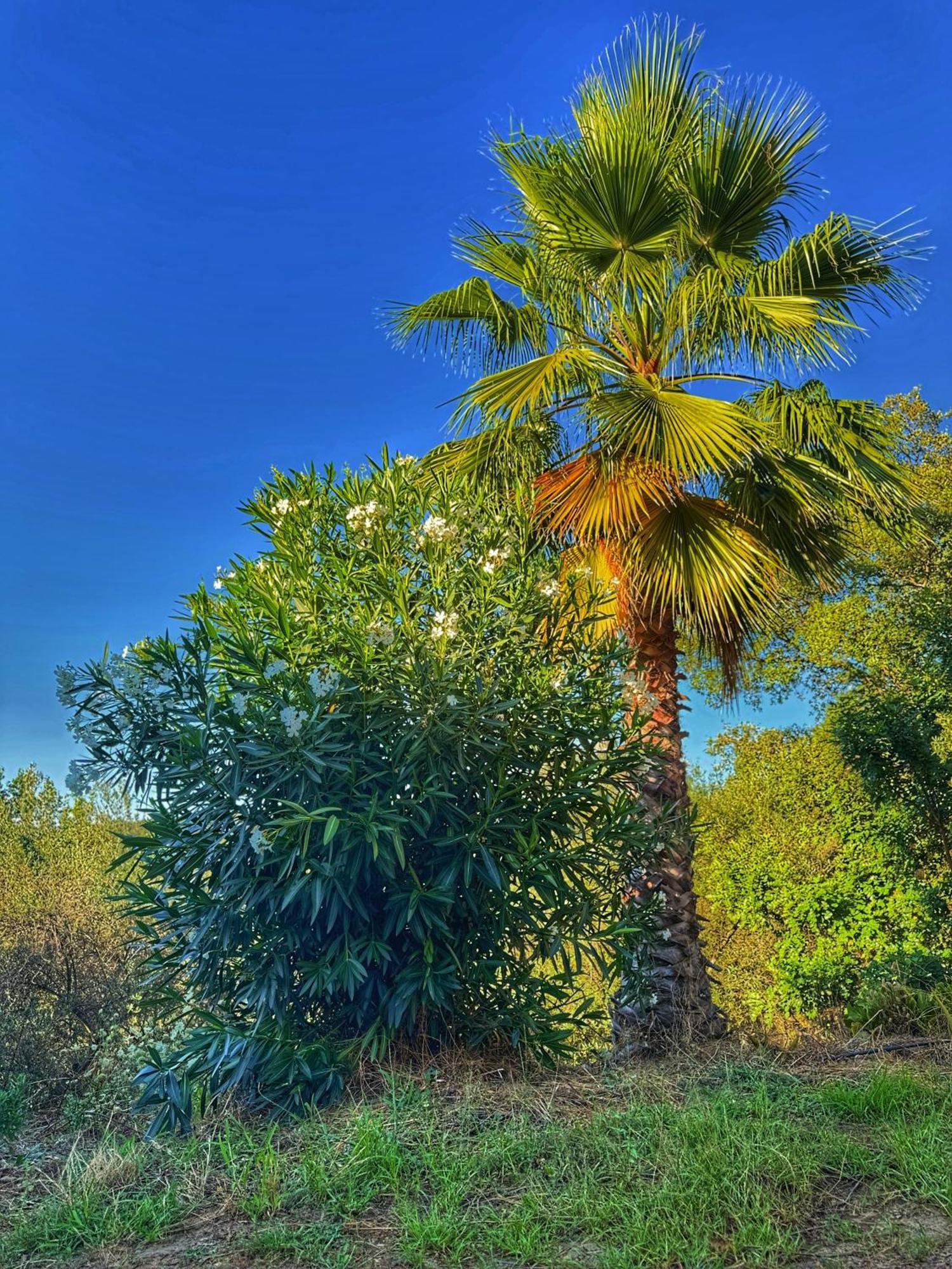 Finca Charco La Olla 哈武戈 外观 照片